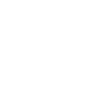 Logo Stefan Perin